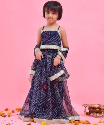 Blue embroidered chiffon lehenga set 1