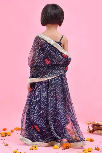 Blue embroidered chiffon lehenga set