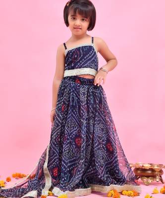 Blue embroidered chiffon lehenga set 5
