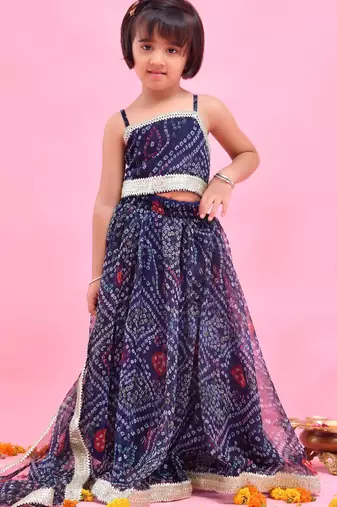 Blue embroidered chiffon lehenga set