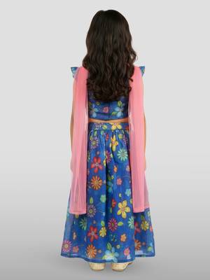 kids blue organza embroidered lehenga set -  4