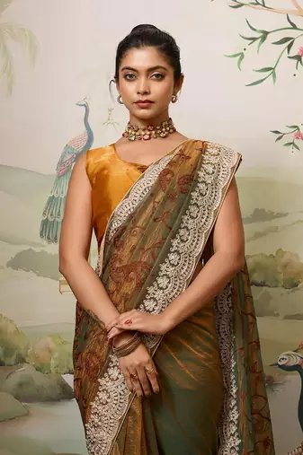 Party Wear Fendy Soft Net Saree with Chikankari Embroidery and Piping Border wedding Festive Wear
