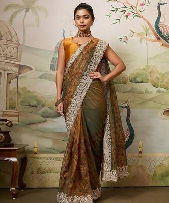 Party Wear Fendy Soft Net Saree with Chikankari Embroidery and Piping Border wedding Festive Wear 3