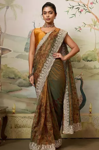 Party Wear Fendy Soft Net Saree with Chikankari Embroidery and Piping Border wedding Festive Wear