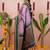 lavender green soft art silk saree with unstiched blouse