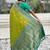 mehendi soft art silk saree with unstiched blouse