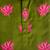 Green fuhsia  hand screen printed boys  ethnic wear- set of 2