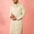 men's light green silk blend kurta - traditional embroidered festive wear