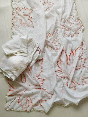 White Color Pearl Handwork Embroidery CutDana Work Organza Tabby Saree 2