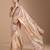 ethnic motifs embroidered georgette saree in chiku