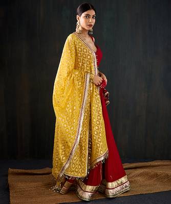 red embroidered cotton silk Lehenga 3