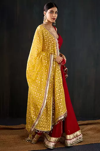 red embroidered cotton silk Lehenga