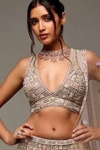 Chiku Color Sequins Dori Thread Work Net Lehenga Choli