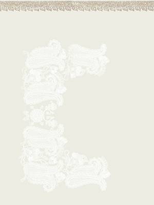 Designer white resham embroidery work zarkan border georgette saree 4