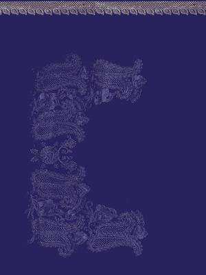 Designer navy blue resham embroidery zarkan border georgette saree 4