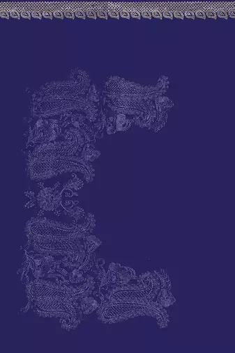 Designer navy blue resham embroidery zarkan border georgette saree