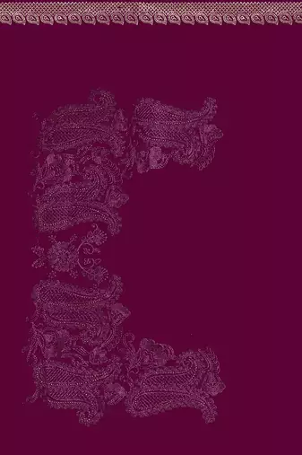 Designer wine resham embroidery zarkan border georgette saree