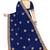 Designer navy blue coding zarkan embroidery georgette saree