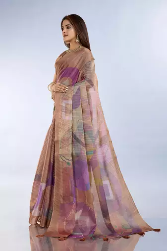 chiku printed art silk designer pallu saree