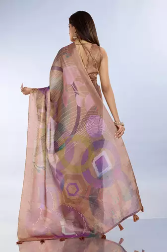 chiku printed art silk designer pallu saree