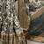 Raw Beauty Meets Soft Shine Tussar Silk Blend Saree with Printed Detail & Viscose Border