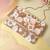Anekaant Petal Posh Pink, Champagne & Ivory Floral Embellished Satin Sling Bag