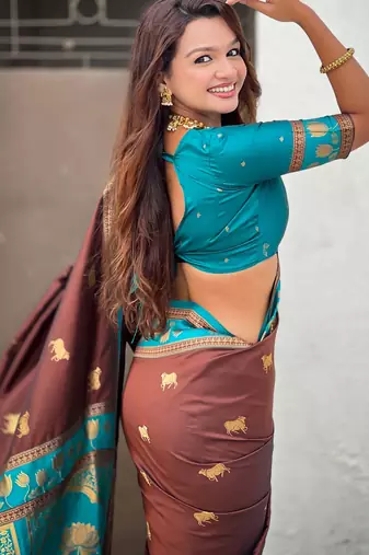 Soft silk pichwai traditional zari woven saree