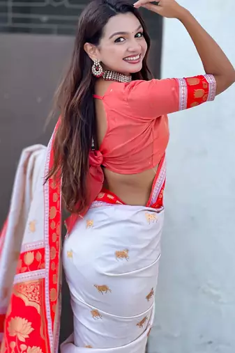 Soft silk pichwai traditional zari woven saree