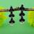 Black color oxidised earrings