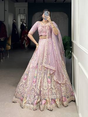 Grace in Every Thread Net Sequins & Embroidered Lehenga Choli 2
