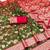 mehendi art silk zari woven saree with blouse