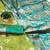 lime green art silk zari woven saree with blouse