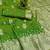 parrot green art silk zari woven saree with blouse