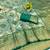 light silvery green zari woven kanjivaram silk saree with blouse