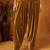 Gold plain velvet  salwar