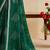 green moss chiffon silk blend bandhani printed saree with embroidered lace boarder with blouse