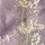 Lavender tissue silk sequince & resham work heavy designer saree