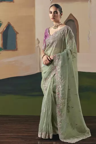 Pista tissue silk sequince & resham work  cut work border heavy designer saree