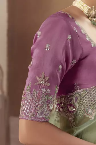Pista tissue silk sequince & resham work  cut work border heavy designer saree