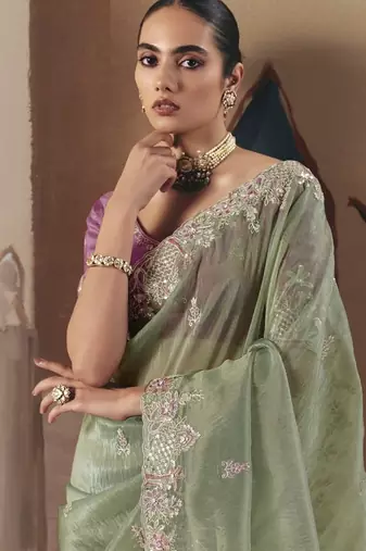 Pista tissue silk sequince & resham work  cut work border heavy designer saree