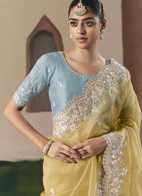 Mustard tissue silk sequince & resham work cut work border heavy designer saree 2