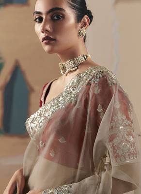 Coffee oraganza sequince & resham work cut work border heavy designer saree 4