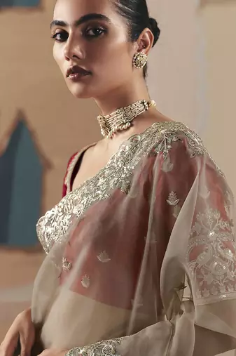 Coffee oraganza sequince & resham work cut work border heavy designer saree