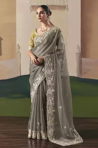 Gary tissue silk sequince & resham work  cut work border heavy designer saree