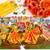 Puzzle - garba - 300 pieces - 2d jigsaw puzzle
