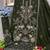 Dark green embroidered faux georgette suit 