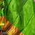 Grey and green soft silk saree with silk mark certified