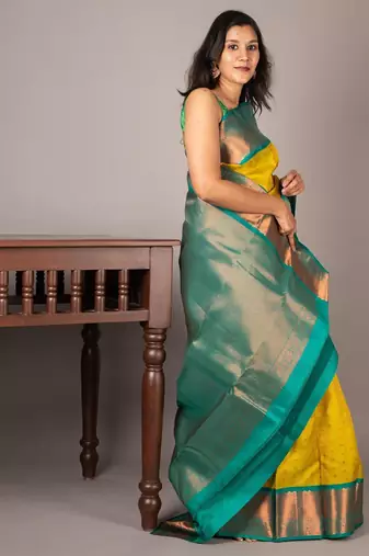 Light green simple silk saree with silk mark certified