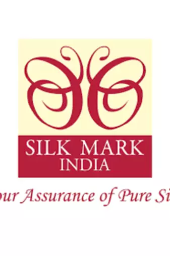 Pastel green silk saree with silk mark certified