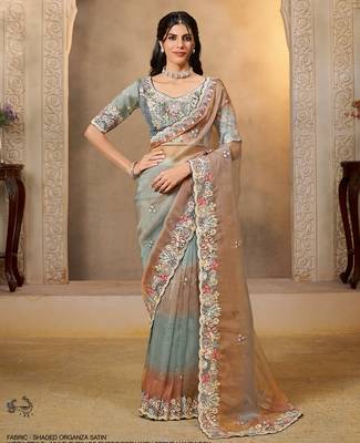 shaded organza satin saree with thread & stone work blouse 1